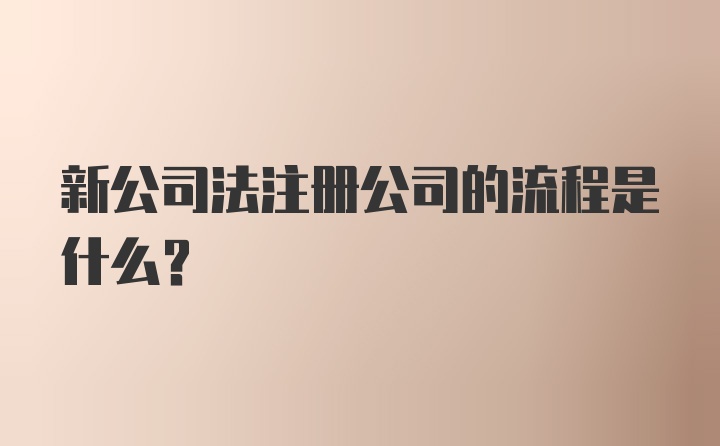 新公司法注册公司的流程是什么？