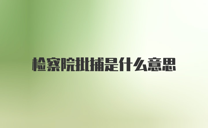 检察院批捕是什么意思