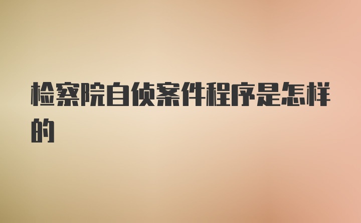 检察院自侦案件程序是怎样的