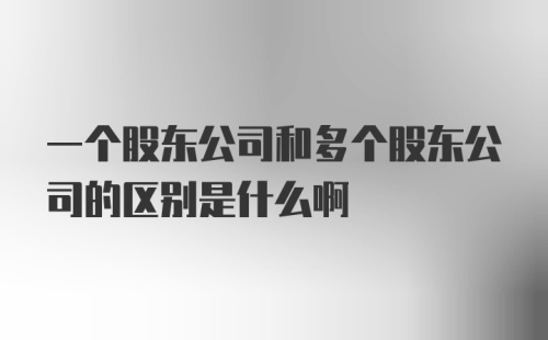 一个股东公司和多个股东公司的区别是什么啊