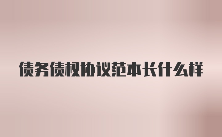 债务债权协议范本长什么样