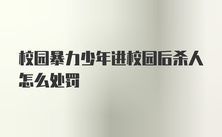 校园暴力少年进校园后杀人怎么处罚