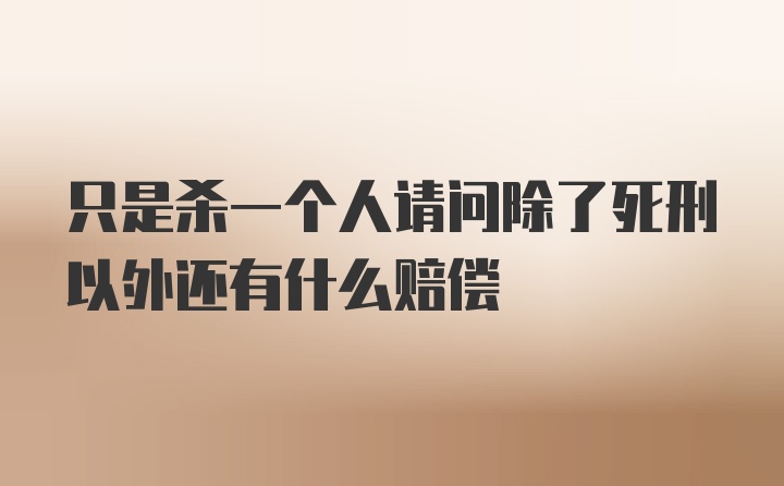 只是杀一个人请问除了死刑以外还有什么赔偿