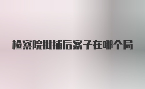 检察院批捕后案子在哪个局