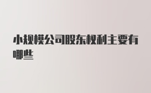 小规模公司股东权利主要有哪些