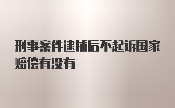 刑事案件逮捕后不起诉国家赔偿有没有