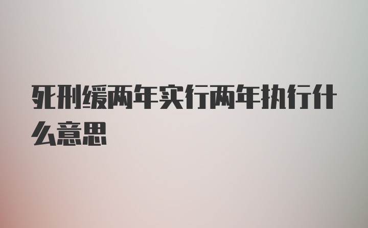 死刑缓两年实行两年执行什么意思