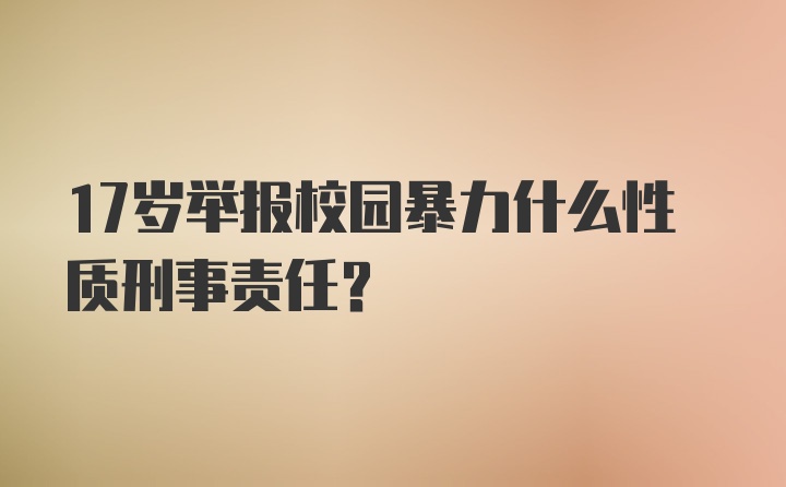 17岁举报校园暴力什么性质刑事责任？