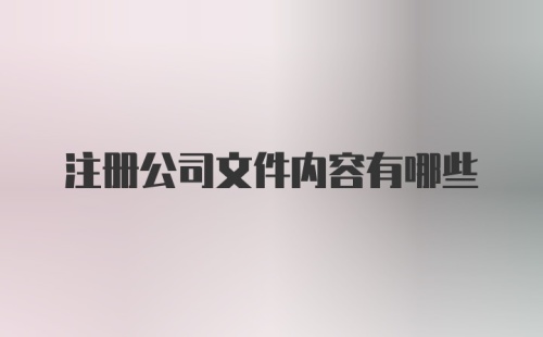 注册公司文件内容有哪些