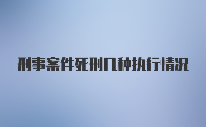 刑事案件死刑几种执行情况