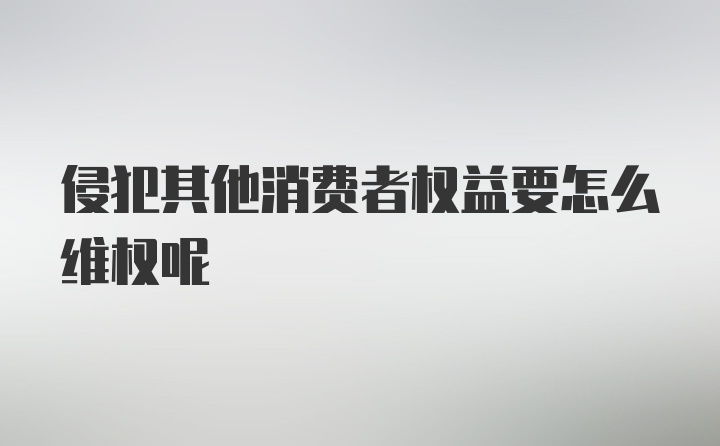 侵犯其他消费者权益要怎么维权呢