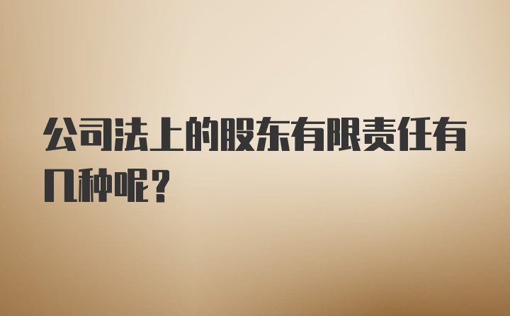 公司法上的股东有限责任有几种呢？