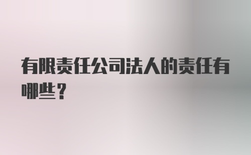 有限责任公司法人的责任有哪些？