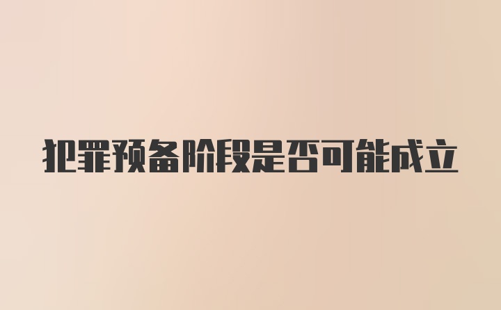 犯罪预备阶段是否可能成立