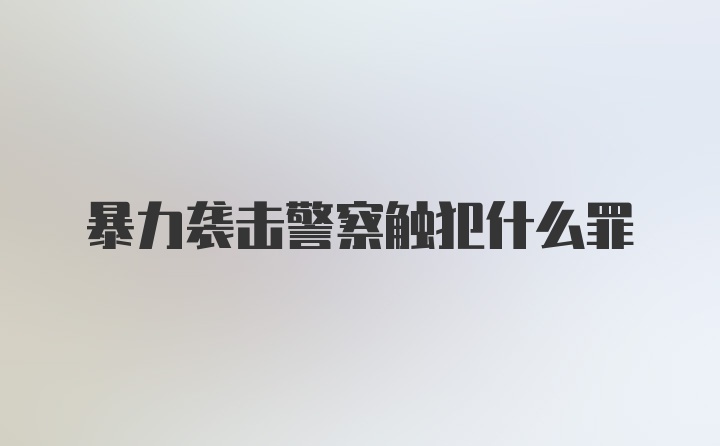 暴力袭击警察触犯什么罪