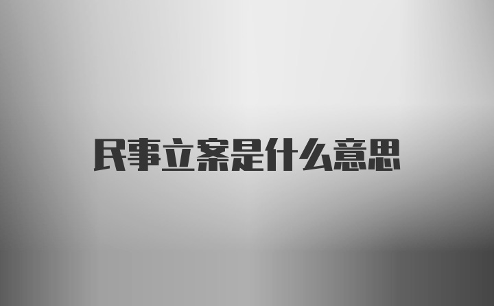 民事立案是什么意思