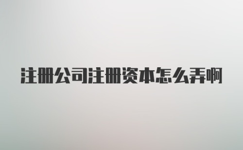 注册公司注册资本怎么弄啊