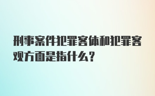 刑事案件犯罪客体和犯罪客观方面是指什么？