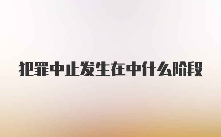 犯罪中止发生在中什么阶段