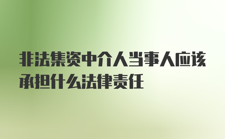 非法集资中介人当事人应该承担什么法律责任