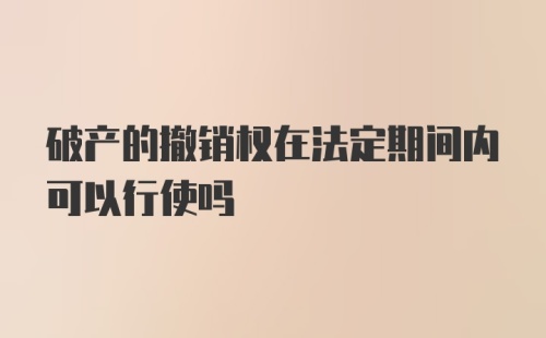 破产的撤销权在法定期间内可以行使吗