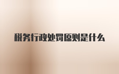 税务行政处罚原则是什么