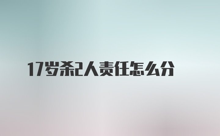 17岁杀2人责任怎么分