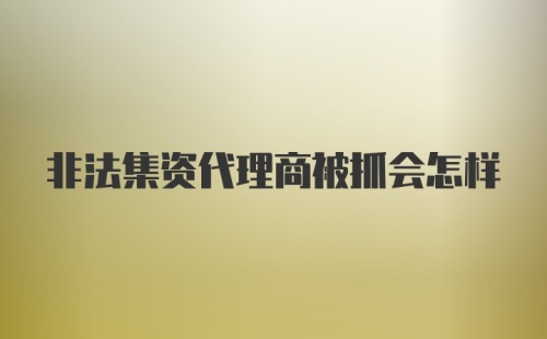 非法集资代理商被抓会怎样