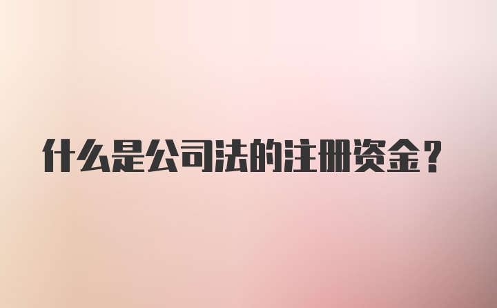 什么是公司法的注册资金？