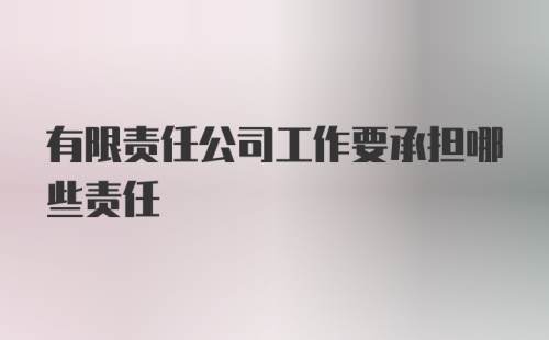 有限责任公司工作要承担哪些责任