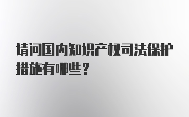 请问国内知识产权司法保护措施有哪些?