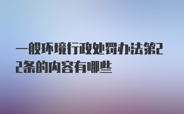 一般环境行政处罚办法第22条的内容有哪些