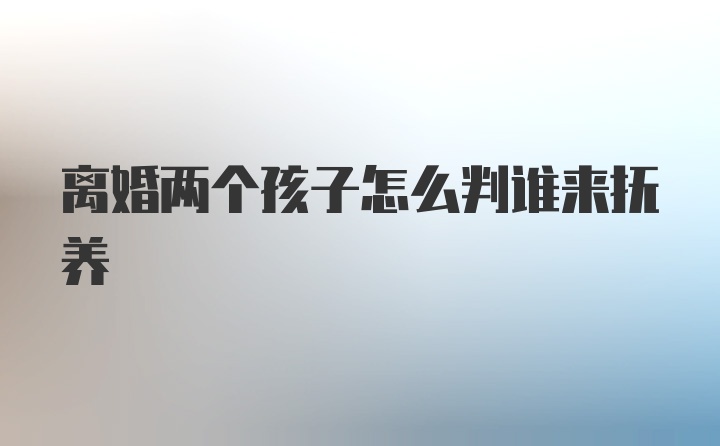 离婚两个孩子怎么判谁来抚养