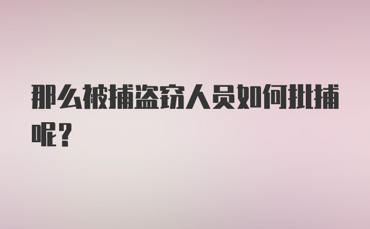 那么被捕盗窃人员如何批捕呢？