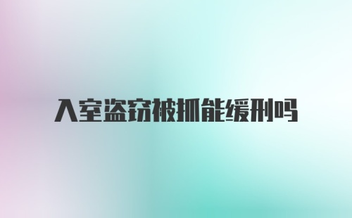 入室盗窃被抓能缓刑吗