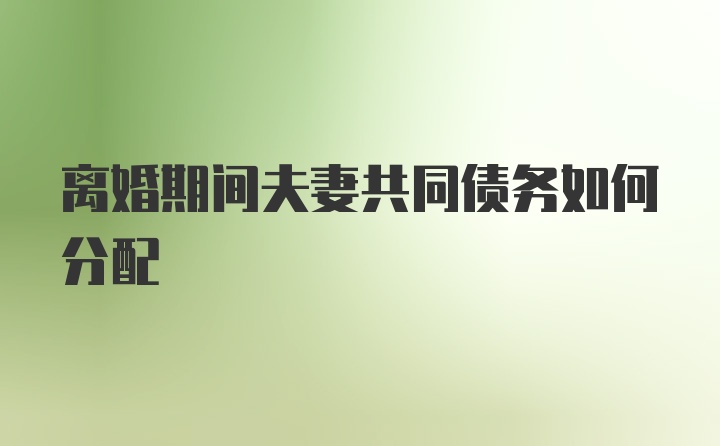 离婚期间夫妻共同债务如何分配