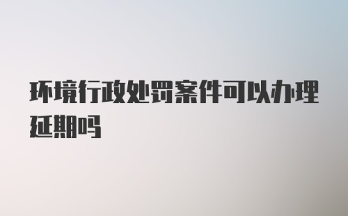 环境行政处罚案件可以办理延期吗