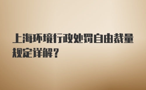 上海环境行政处罚自由裁量规定详解？