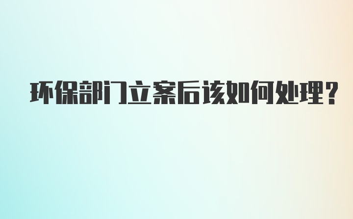 环保部门立案后该如何处理？