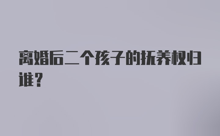 离婚后二个孩子的抚养权归谁？