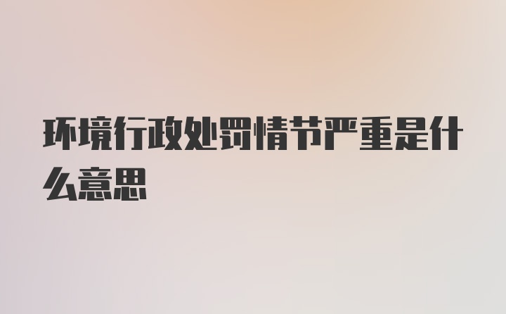 环境行政处罚情节严重是什么意思