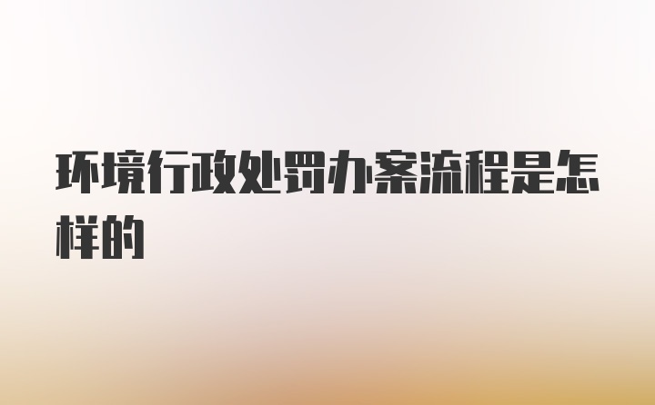 环境行政处罚办案流程是怎样的