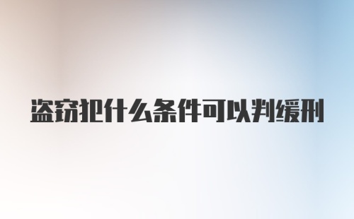 盗窃犯什么条件可以判缓刑