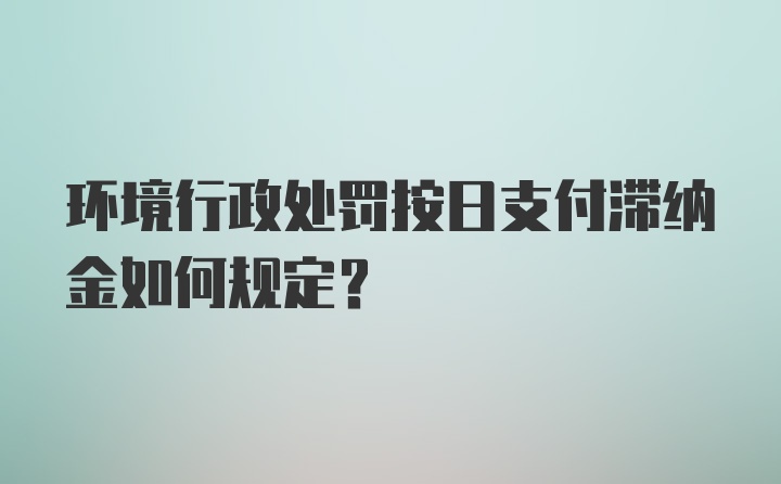 环境行政处罚按日支付滞纳金如何规定?