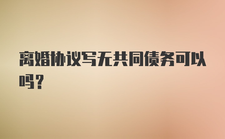 离婚协议写无共同债务可以吗?