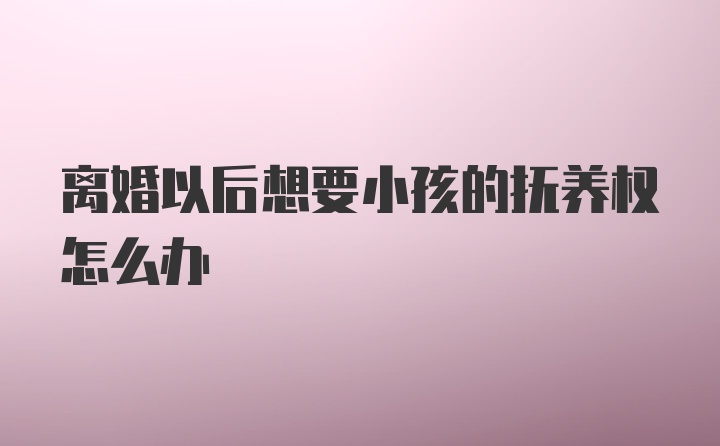 离婚以后想要小孩的抚养权怎么办