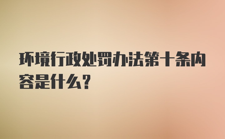 环境行政处罚办法第十条内容是什么？