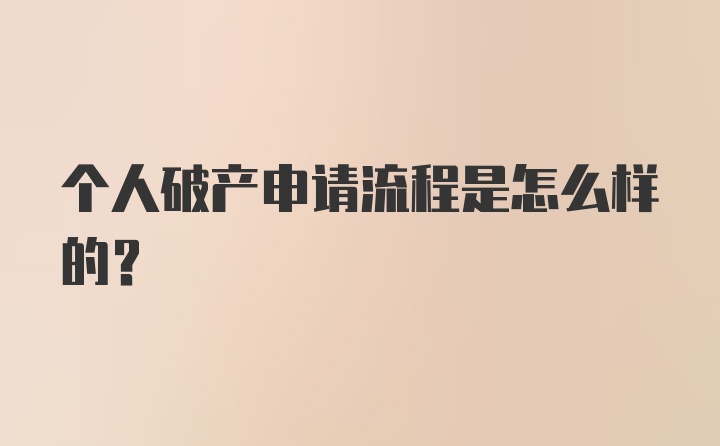 个人破产申请流程是怎么样的？