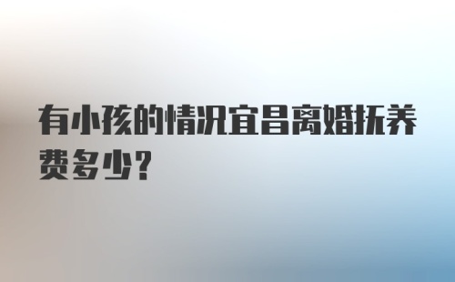 有小孩的情况宜昌离婚抚养费多少？