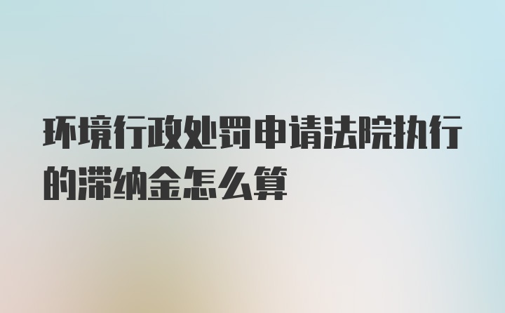 环境行政处罚申请法院执行的滞纳金怎么算